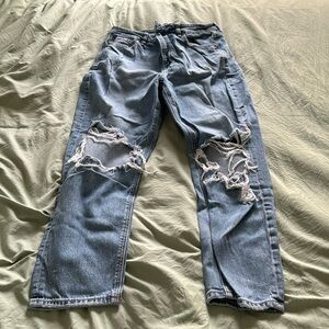 American Eagle Mom Jean